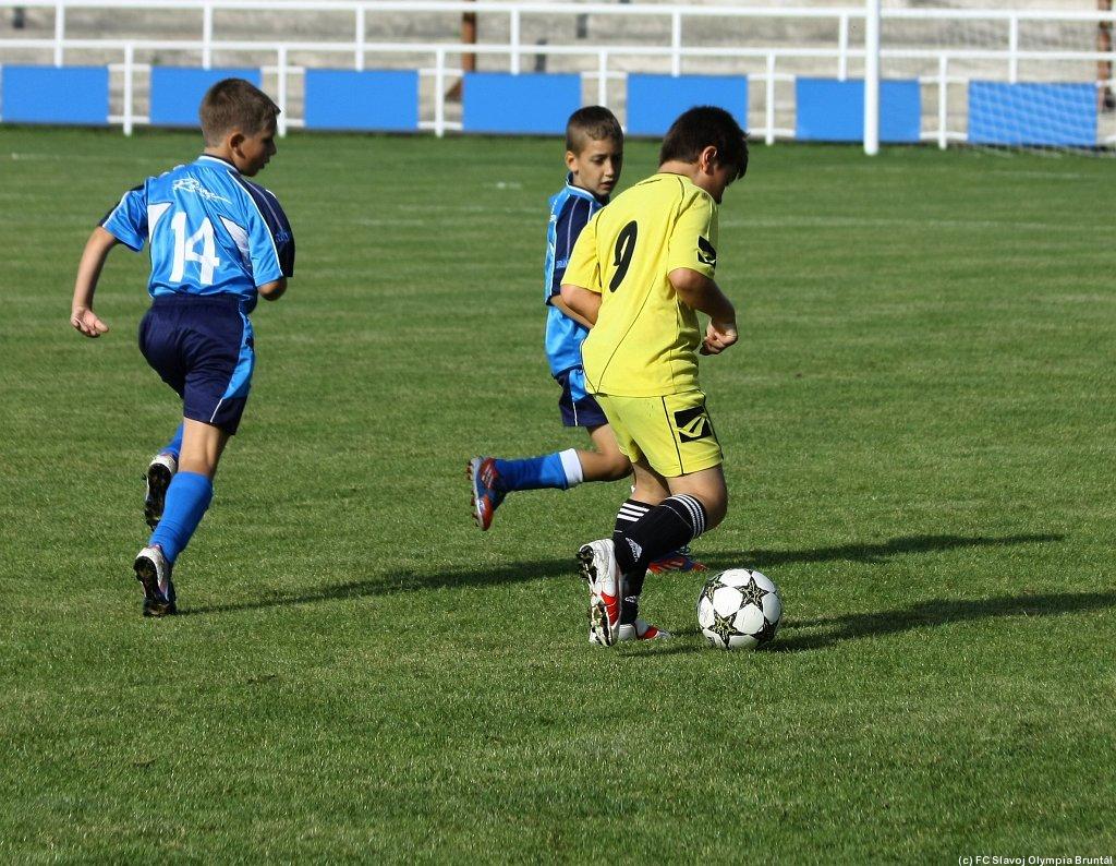 gal9_obr1409508437_68