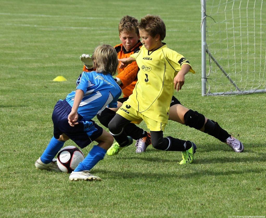 gal9_obr1409508439_182